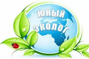 Муниципальный конкурс экологических видеороликов «Следствие ведут экологи»