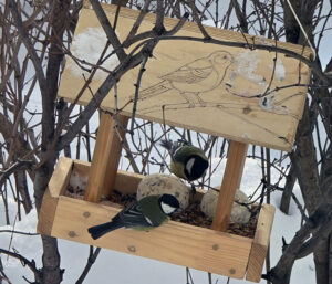 Итоги конкурса на лучшую кормушку в рамках экологической акции «Покормите птиц зимой»